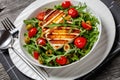 salad with grilled halloumi greek cheese in bowl Royalty Free Stock Photo