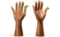 Salad Hands on White Background