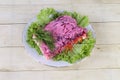 Salad `Herring under a fur coat`. Layered salad with vegetables and salted fish with white sauce Royalty Free Stock Photo