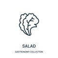 salad icon vector from gastronomy collection collection. Thin line salad outline icon vector illustration
