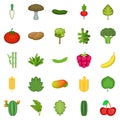 Salad icons set, cartoon style