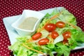 Salad with Japanese dressing (sesami sauce).