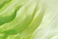 Salad leaf Royalty Free Stock Photo