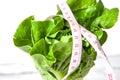 Salad leaf. Lettuce Royalty Free Stock Photo