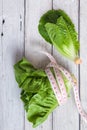 Salad leaf. Lettuce Royalty Free Stock Photo