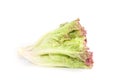 Salad leaf. Lettuce white background in studio Royalty Free Stock Photo