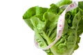 Salad leaf. Lettuce isolated Royalty Free Stock Photo