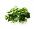 Salad leaf. Lettuce isolated on white background Royalty Free Stock Photo