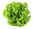Salad leaf. Lettuce isolated on white background. Royalty Free Stock Photo