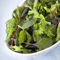 Salad Leaves Royalty Free Stock Photo