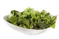 Salad Leaves Royalty Free Stock Photo