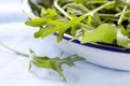 Salad Leaves Royalty Free Stock Photo