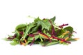 Salad Leaves Royalty Free Stock Photo