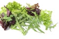 Salad Leaves Royalty Free Stock Photo