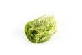 Salad Lettace Royalty Free Stock Photo