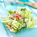 Salad with lettuce and ranch dressing