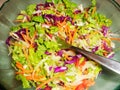 Salad, lettuce, tomato, carrot Royalty Free Stock Photo