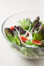 Salad with lettuce, tomato and onion Royalty Free Stock Photo