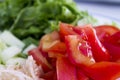 Salad with lettuce, tomato, onion and cucumber Royalty Free Stock Photo