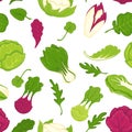 Salad lettuces and cabbage vegetables seamless pattern.