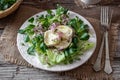 Salad with marinated goat cheese and fresh radish sprouts