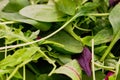 Salad mix background Royalty Free Stock Photo