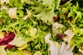 Salad mix background Royalty Free Stock Photo