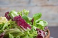 Salad mix leaves background. Fresh salad pattern with rucola, purple lettuce, spinach, frisee and chard leaf Royalty Free Stock Photo