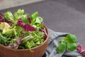 Salad mix leaves background. Fresh salad pattern with rucola, purple lettuce, spinach, frisee and chard leaf Royalty Free Stock Photo