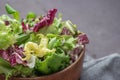 Salad mix leaves background. Fresh salad pattern with rucola purple lettuce spinach frisee and chard leaf Royalty Free Stock Photo