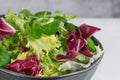 Salad mix leaves background. Fresh salad pattern with rucola, purple lettuce, spinach, frisee and chard leaf Royalty Free Stock Photo