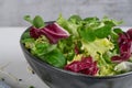 Salad mix leaves background. Fresh salad pattern with rucola, purple lettuce, spinach, frisee and chard leaf Royalty Free Stock Photo