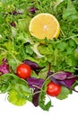 Salad mix with rucola, frisee, radicchio and lemon Royalty Free Stock Photo