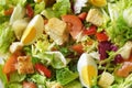 Salad in the morning. Salad with egg, lettuce, tomato, croutons, pepper. Diet, proper nutrition, Royalty Free Stock Photo
