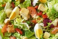 Salad in the morning. Salad with egg, lettuce, tomato, croutons, pepper. Royalty Free Stock Photo