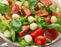 Salad with mozzarella, cherry tomatoes and green lettuce in a white round plate Royalty Free Stock Photo