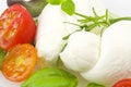 Salad mozzarella and tomatoes