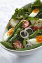 Salad Nicoise Royalty Free Stock Photo