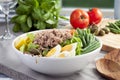 Salad Nicoise Royalty Free Stock Photo