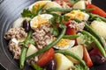 Salad Nicoise Royalty Free Stock Photo