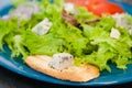 Salad with octopus or squid, cheese, tomato, olives, onions, spices and croutons, sauce or oil on blue plate Royalty Free Stock Photo