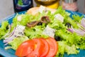 Salad with octopus or squid, cheese, tomato, olives, onions, spices and croutons, sauce or oilon blue plate