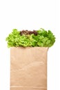 Salad in paperbag