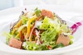 Salad of pink salmon Royalty Free Stock Photo