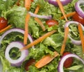 Salad plate closeup Royalty Free Stock Photo