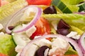 Salad plate for healthy lifestyle Royalty Free Stock Photo