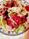 Salad plate served with chicory and lettuce sprinkled with olive oil  and vinegar top view from close up Royalty Free Stock Photo