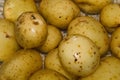 Fresh Uncooked Salad Potatoes Up Close In Water