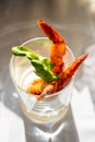 Salad prawn cocktail in glass. appetizer for event Royalty Free Stock Photo