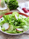 Salad with radishes,cucumber,green peas